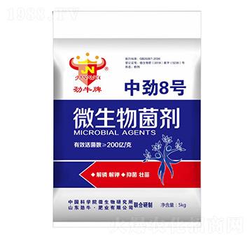 �Є�8̖(h��o)΢�������-��ţ