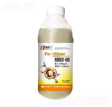 �Ǵ���-嫘���