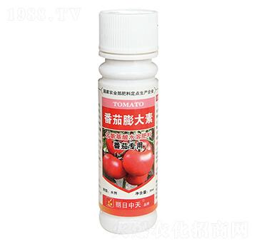 番茄專(zhuān)用含氨基酸水溶肥料-番茄膨大素-中天肥業(yè)