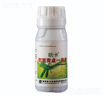�а��S�c(di��n)һ���-�W������
