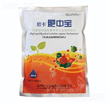 ���Ќ�-�W������