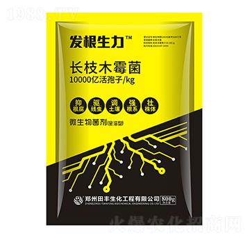 �L(zh��ng)֦ľù��-�l(f��)������-�۟o(w��)��