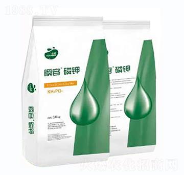 ˲�����-��������