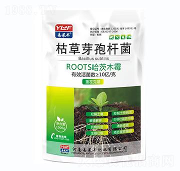 枯草芽孢桿菌-易萊豐