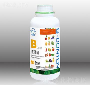 1000gG-CONTON�����w��-��ұ�-�A����