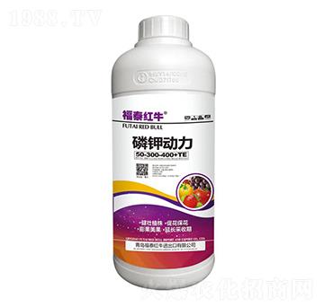 ��⛄���50-300-400+TE-��̩�tţ