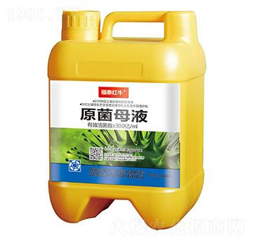 ԭ��ĸҺ-��̩�tţ