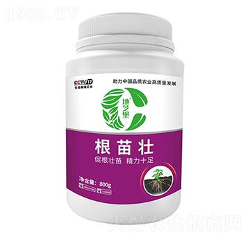 根苗壯-地芝堡-卡列尼