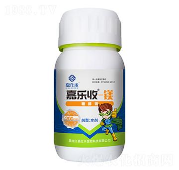 �Ǵ��V-�Θ���-���˺�