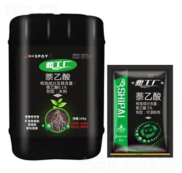 �����S-ʩ������