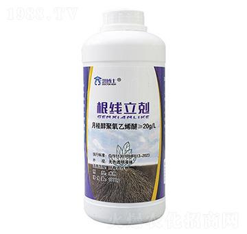 ����(xi��n)���w-�鲩ʿ-�s��ʘI(y��)