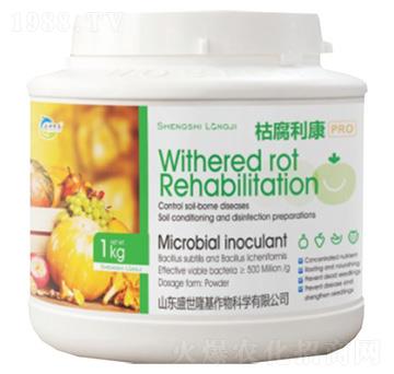 �ݸ�����-ʢ��¡��