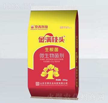 ������΢�������-��M(m��n)֦�^-����Ƽ�