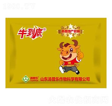 �������a(ch��n)�ײ�-ţ����-���՘�