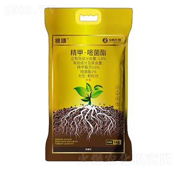 1.6%���ס��׾���-���-Ȫ�x����