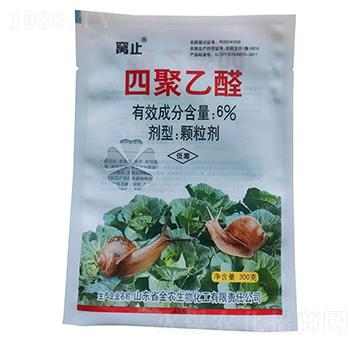 6%�ľ���ȩ-�Cֹ-ʢ������