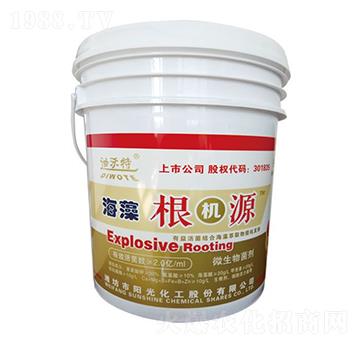 ������CԴ-������-�