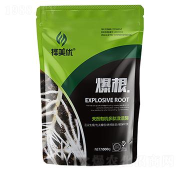 ��ֲ��ˮ�ܷ���-����-������(y��u)-Ӣ��