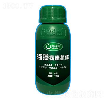 ���岡�����w-������
