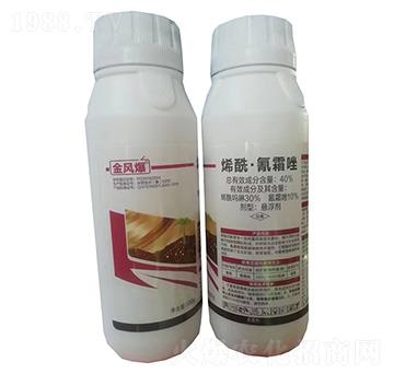 40%ϩ������˪��Ҹ���500g-���L(f��ng)��-�G������