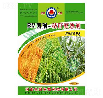 BM����-�ն����섩-��������