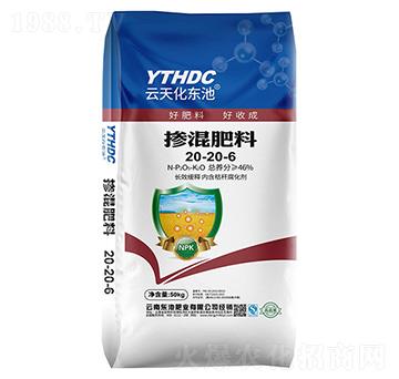 �������20-20-6-���컯�|��-�|�طʘI(y��)