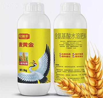 麥黃金-含氨基酸水溶肥料-歐瑞豐