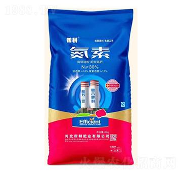 �������������͵���-����-�͸��ʘI(y��)