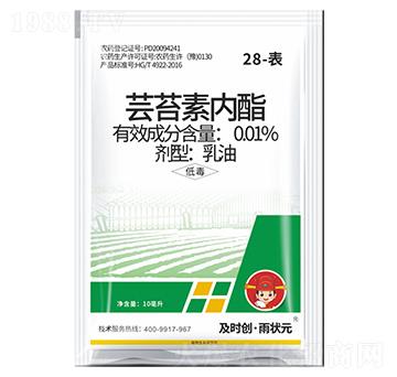 28-��-�|̦�؃�(n��i)������-���r��(chu��ng)�����Ԫ-���r��