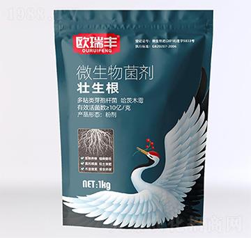 ΢�������-������-�W���S