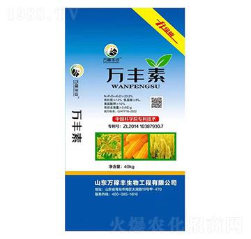 40kg�f(w��n)�S��-�f(w��n)���S