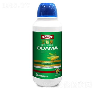 �����W-�������L������-�W����