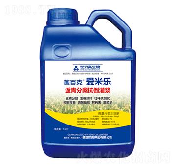 ������Y�������{-ʩ�ٿˡ����ט�-����������