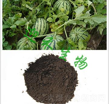 �����ЙC(j��)��-ӭ������