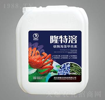 ¡����̼ø����ך���-��¡���B(t��i)