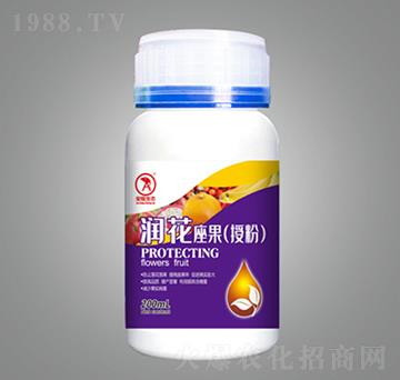 �����������ڷۣ�-��¡���B(t��i)