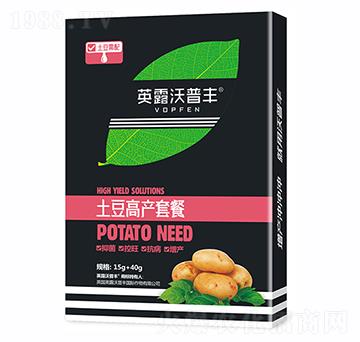 �����߮a�ײ�-Ӣ¶�����S