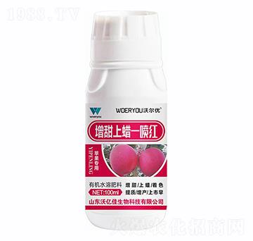 �O(p��ng)����(zhu��n)��������Ϟһ���t-�֠���(y��u)