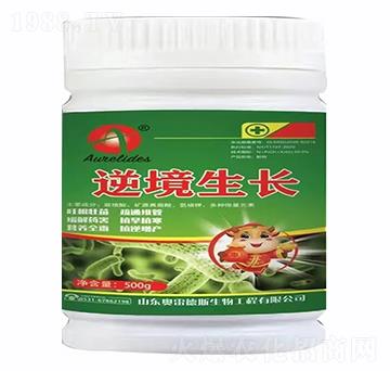 �澳���L-�W�׵�˹