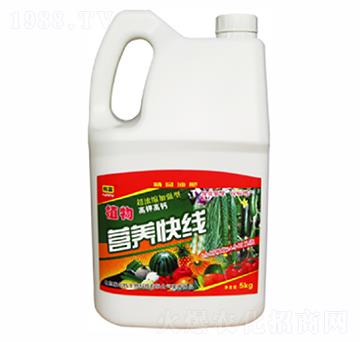 ֲ��I�B(y��ng)�쾀���ι��ͣ�-������