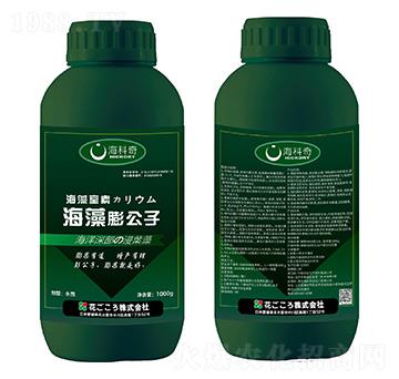 ��������-������