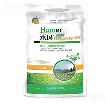 ���\�����辷�-�̬�-�̬�����