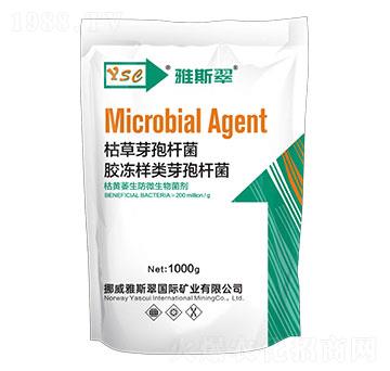 枯黃萎生防微生物菌劑-雅斯翠