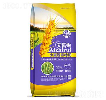 С�������طʰ����J-�J��