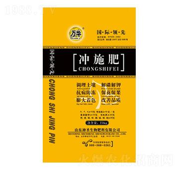 �_ʩ��-��ʥ����