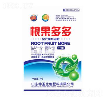 �������-��ʥ����