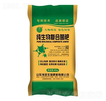 ������ͺϾ���-��ʥ����