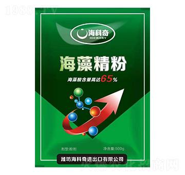 ���徫��-������