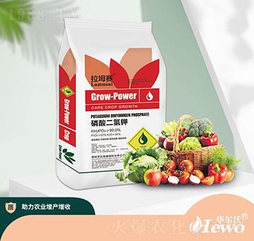 ��������-��ķ��-�A����