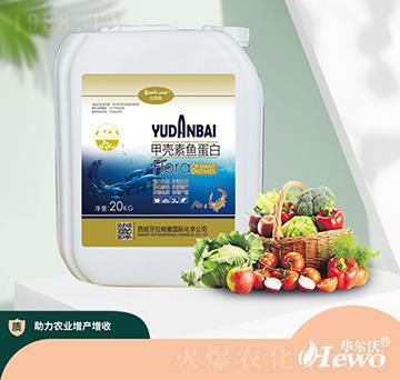 �ך����~����-��ķ��-�A����